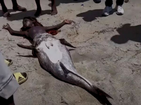 Очевидцы обнаружили на берегу “живую русалку” и сняли ее на видео (ФОТО, ВИДЕО)